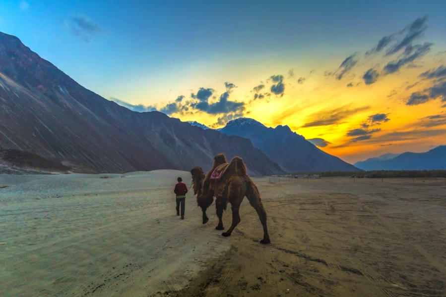 Leh Ladakh Bike Adventure from Delhi | Fuel Included Image