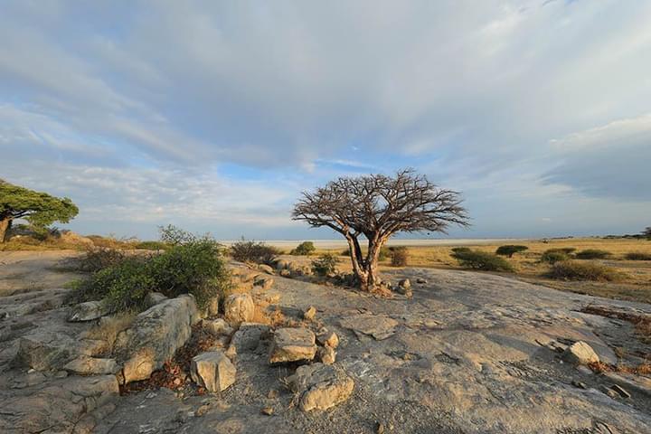 Kubu Island Botswana
