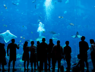 Lost Chambers Aquarium Tickets, Dubai