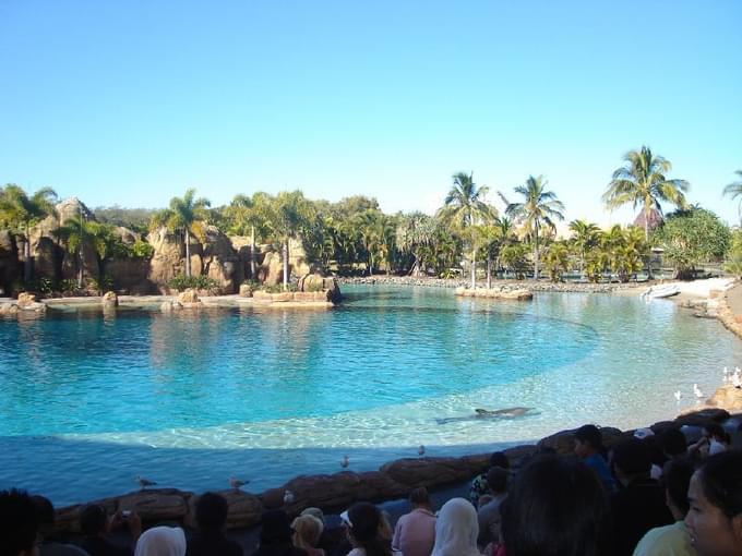 Seaworld Gold Coast Tickets