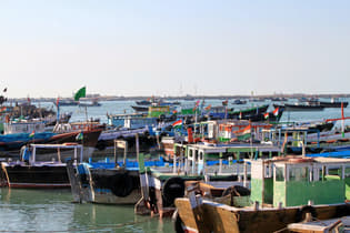 86t4p5x8vcz9swu9b760jyahhfyc 1581438774 beyt dwarka