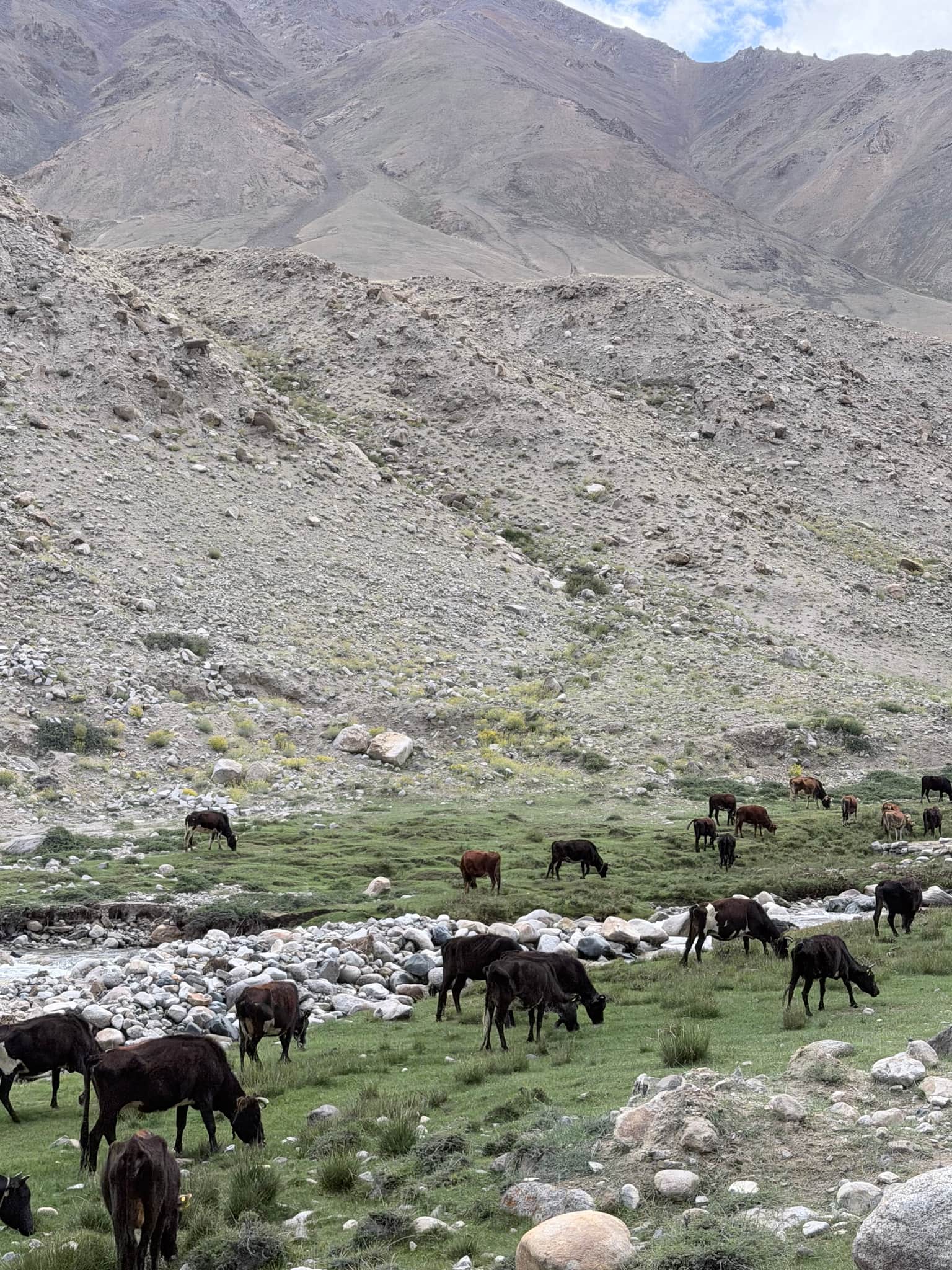 Photo from Ritvik Muralidhar's trip