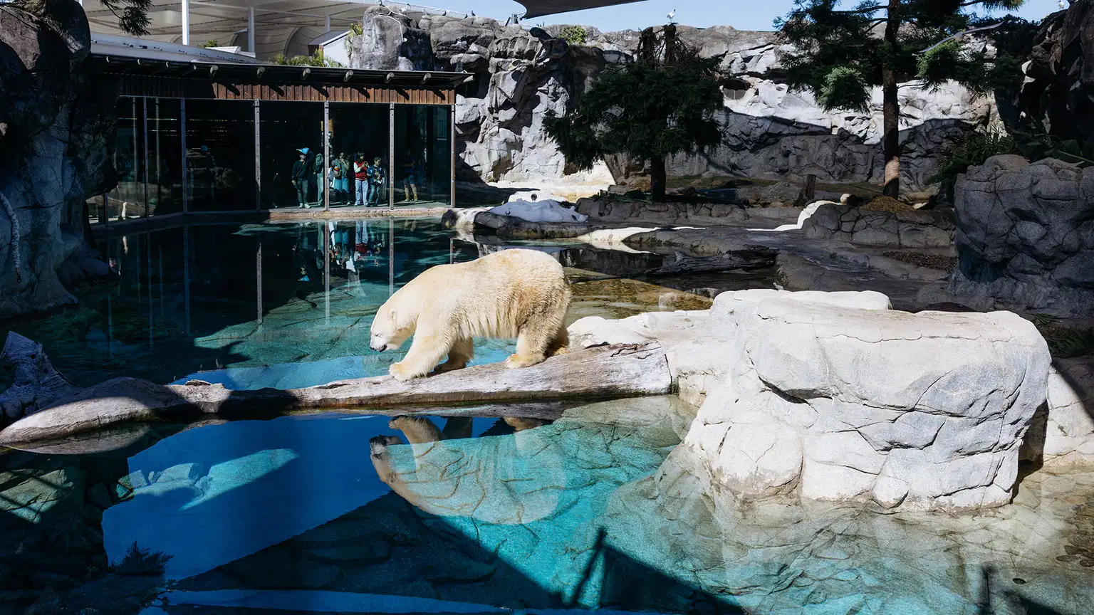 Sea World Tickets, Gold Coast