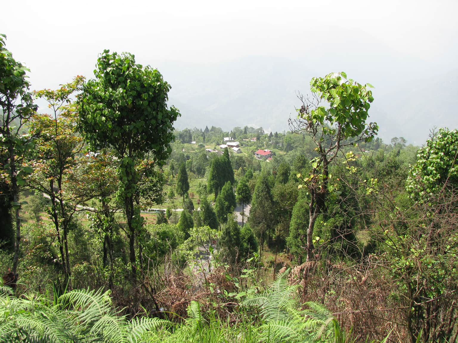 Durpin Dara Hill