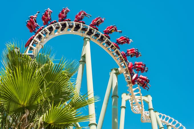 Things To Do In Seville This Weekend