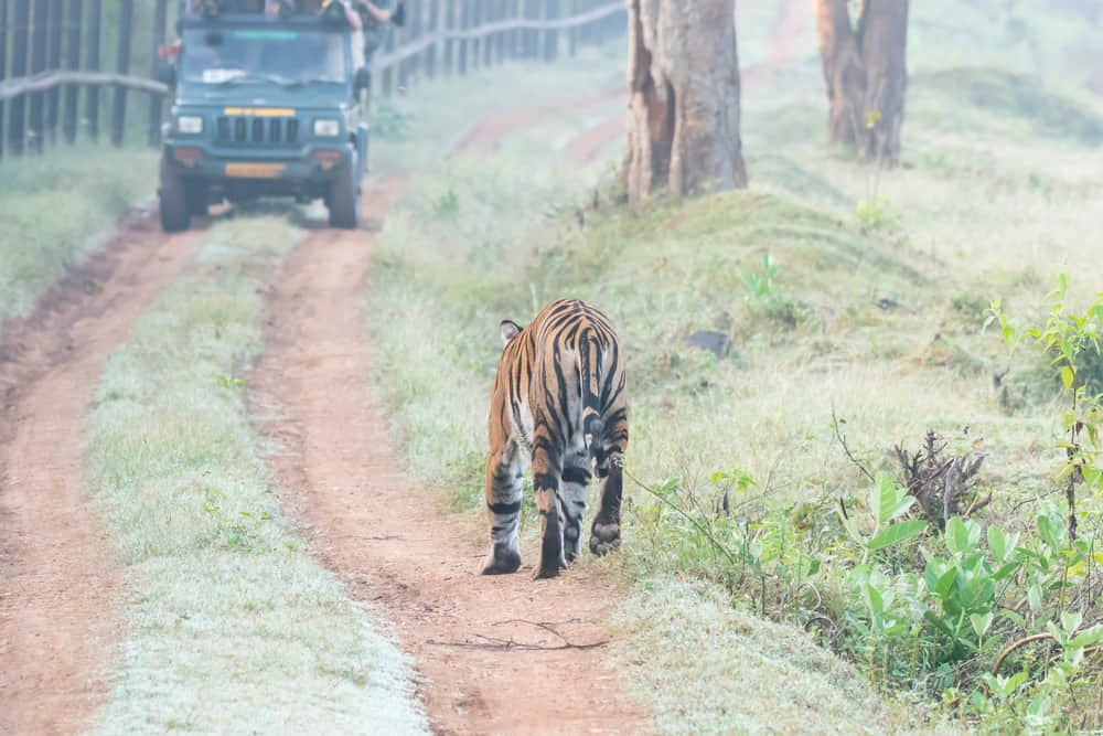Areas of Nagarhole National Park