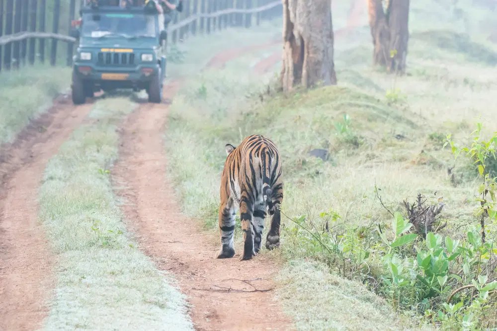 Areas of Nagarhole National Park