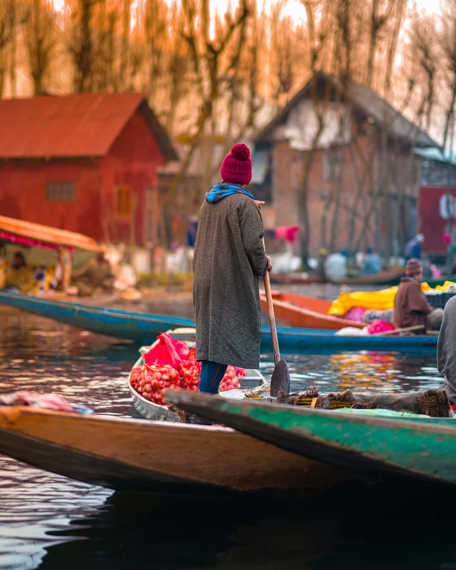 shikara rides in kashmir