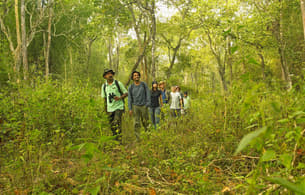 88k763ljdldkz5ncqmrbk2s4w4n9 1599223406 natre walk1