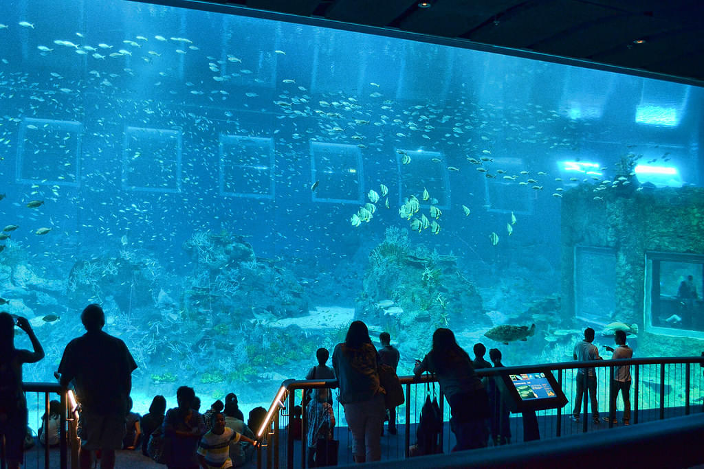 S.E.A. Aquarium Singapore