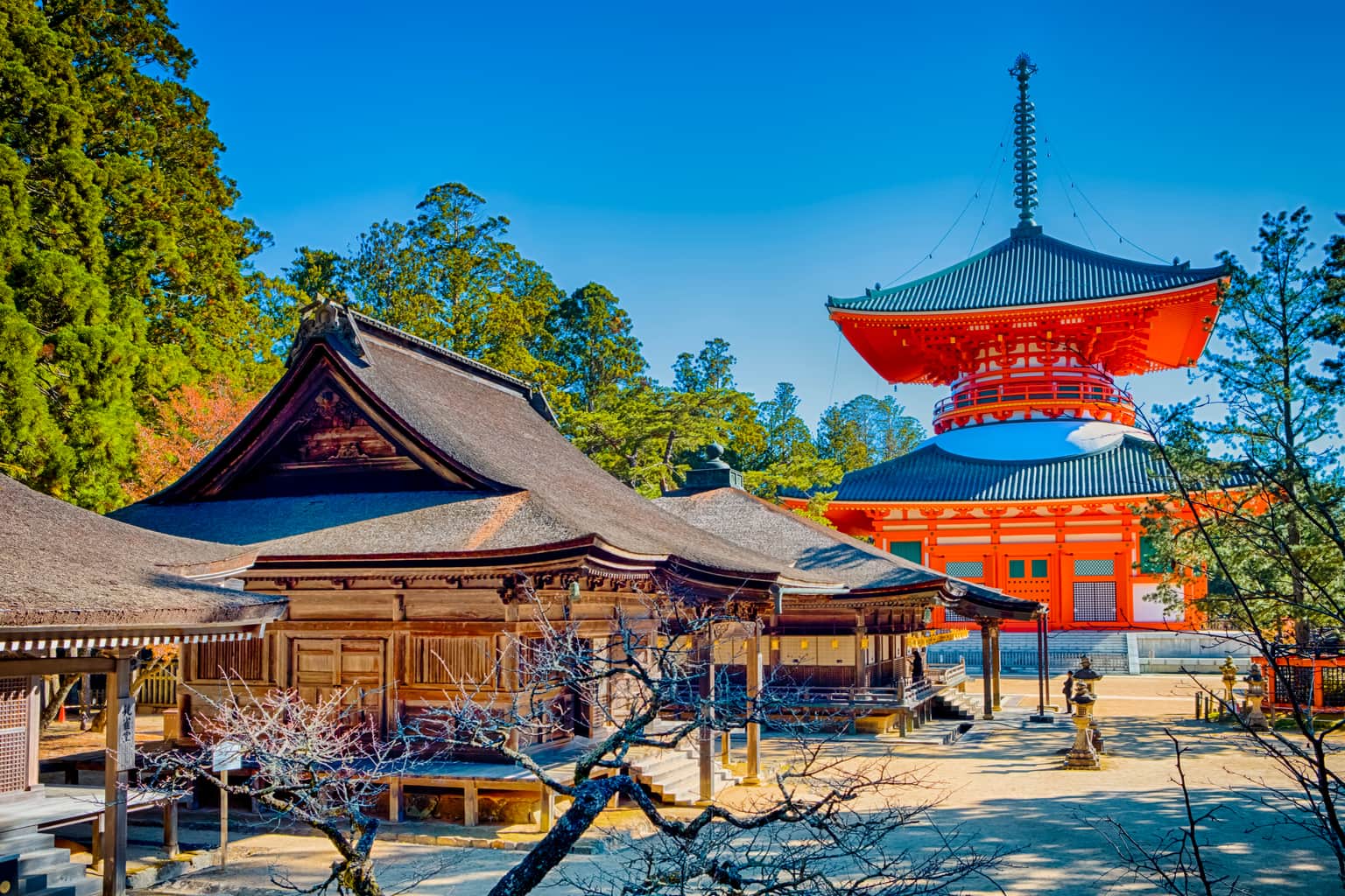 <em>Osaka</em> Tour Packages From Vadodara