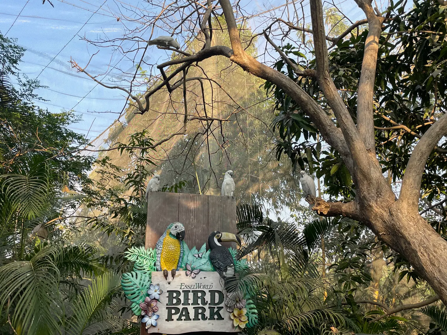 Photo from Avinash 's trip
