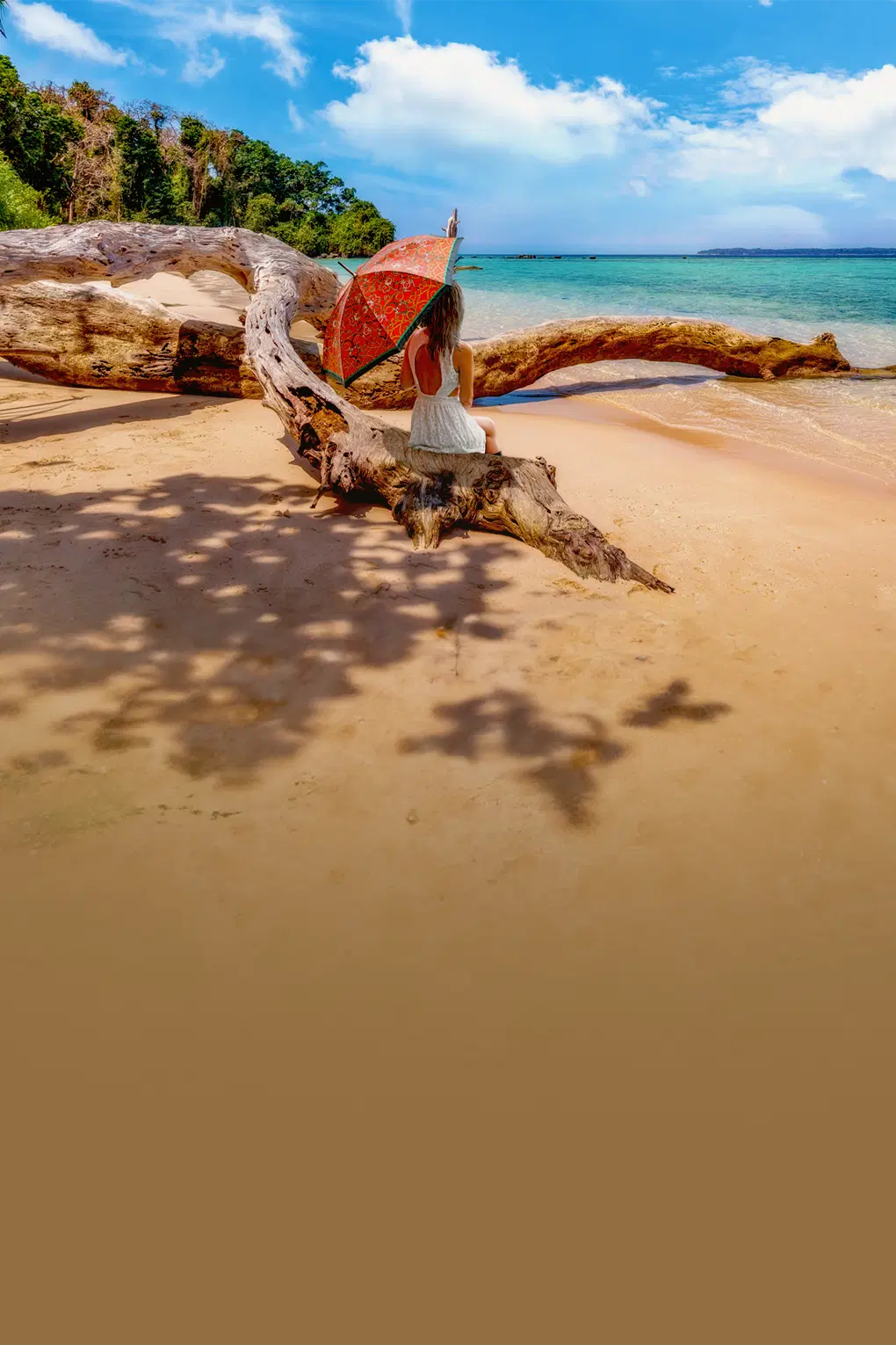 Best of North and South Andaman Tour Package