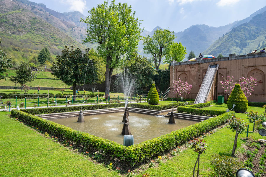 Kashmir Couple Special Image