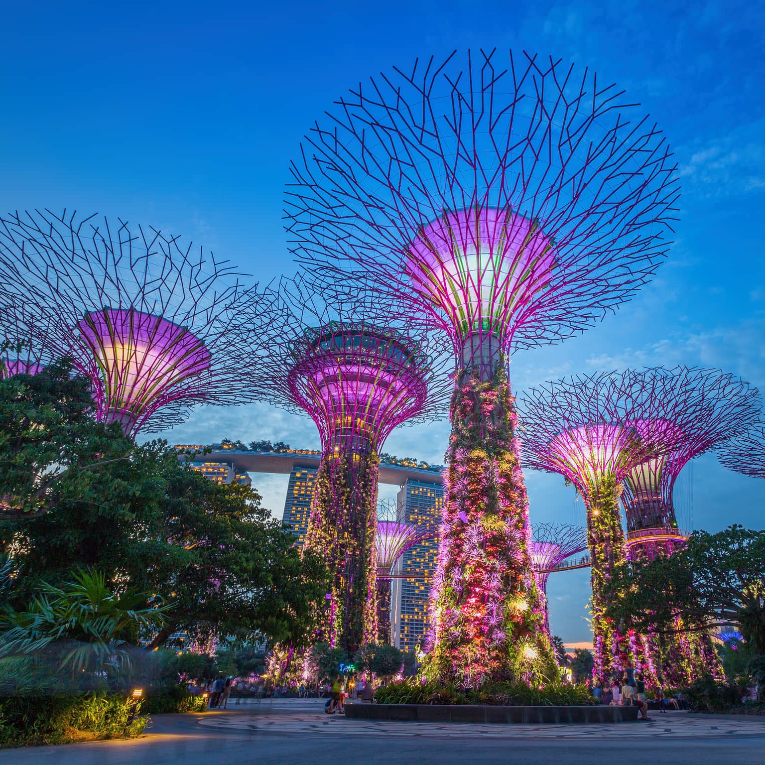 Singapore package