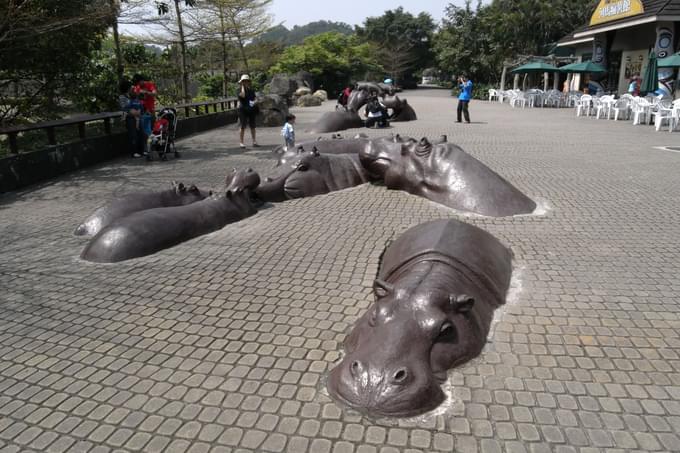 Hippopotamus in Taipei Zoo