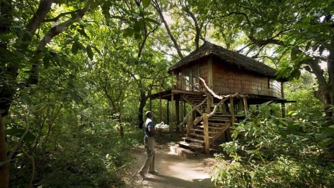 Lake Manyara Tree Lodge