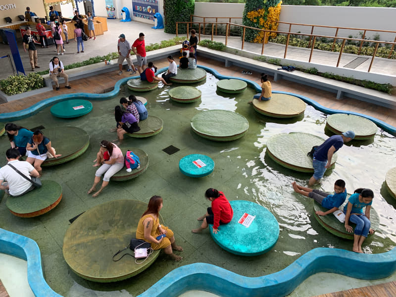 Cebu Ocean Park Tickets Image