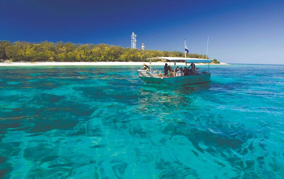  Lady Elliot Island Great Barrier Reef Tour from Gold Coast Image