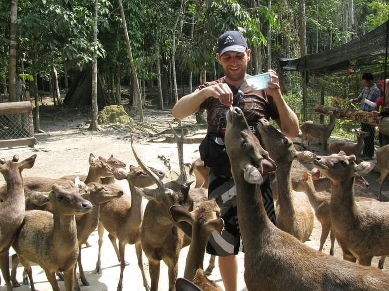 Enjoy your time with the deers