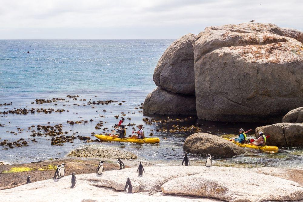 Kayak Cape Town