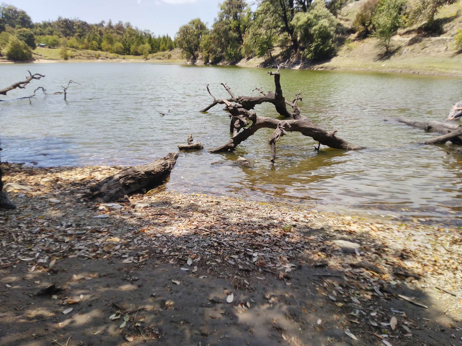 Photo from Nidhi Gupta's trip