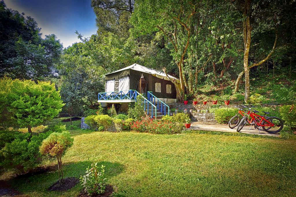 Lakeside Camping In Nainital