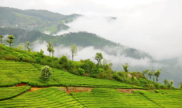 Hidden Valley, <em>Coonoor</em>