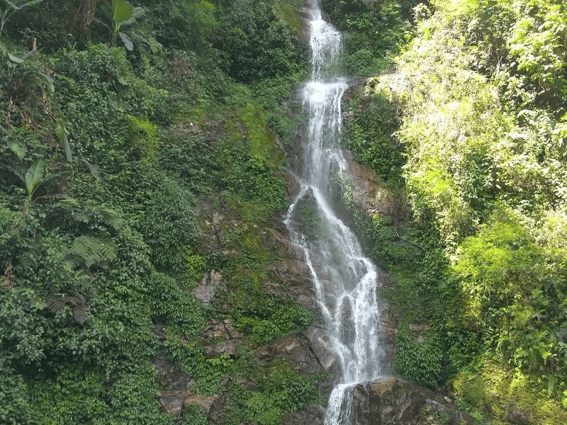 Rimbi Waterfalls