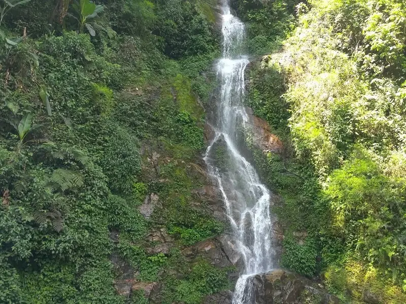 Rimbi Waterfalls
