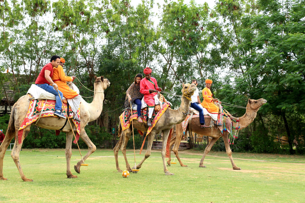 Ride a Camel