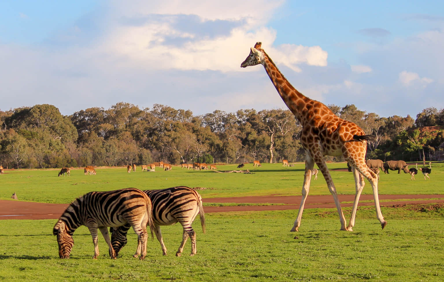 Wildlife Tour