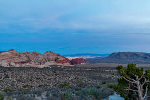 8cyw8t16ov30x8n2ub9tj9ab3cqs shutterstock 1968041956