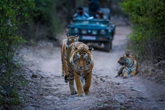 Jaipur Ranthambore Udaipur Tour