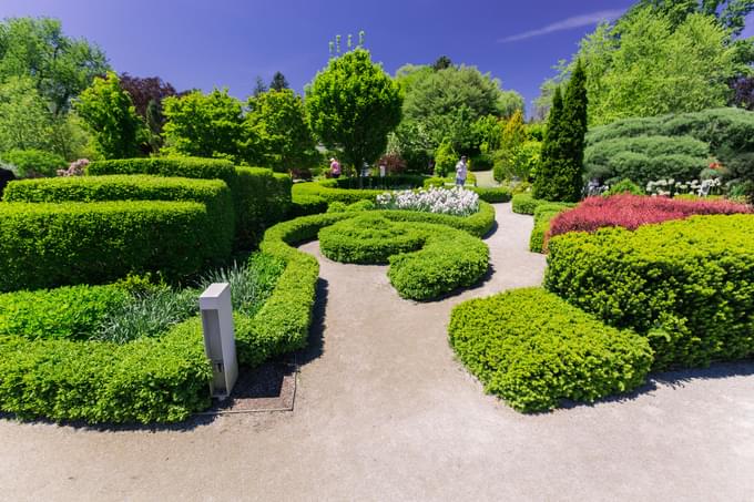 Toronto Botanical Garden