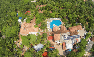 8ekxqho2pnu7rggwcp4dmel63wjv trav2