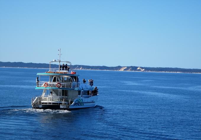 Hervey Bay Whale Watching