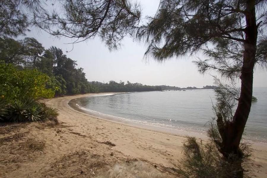 Kashid Beach Camping Image