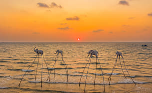 Phu Quoc South Island Tour