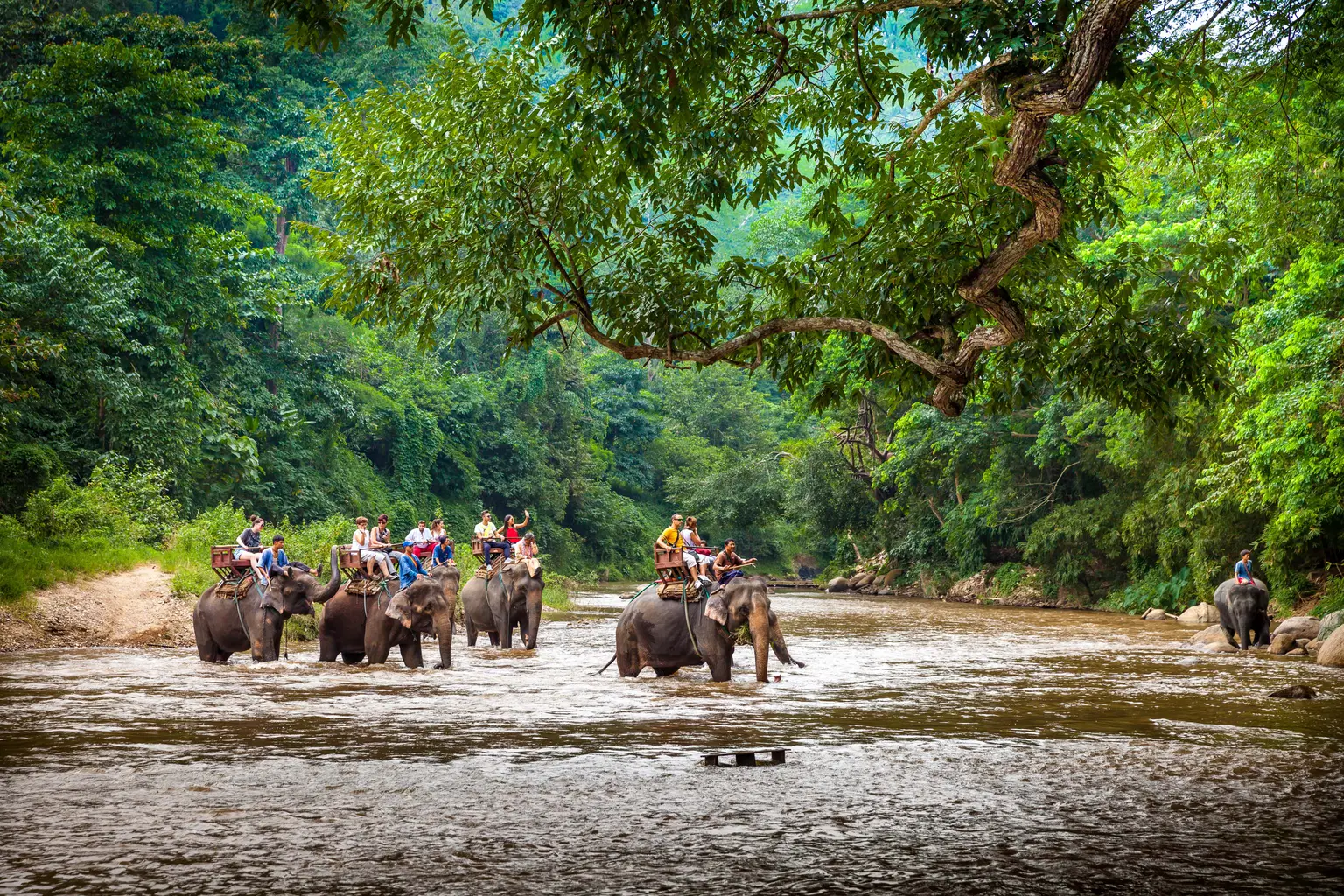 Bangkok tour packages