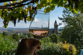 Enjoy this trip to Etyek wine region from Budapest