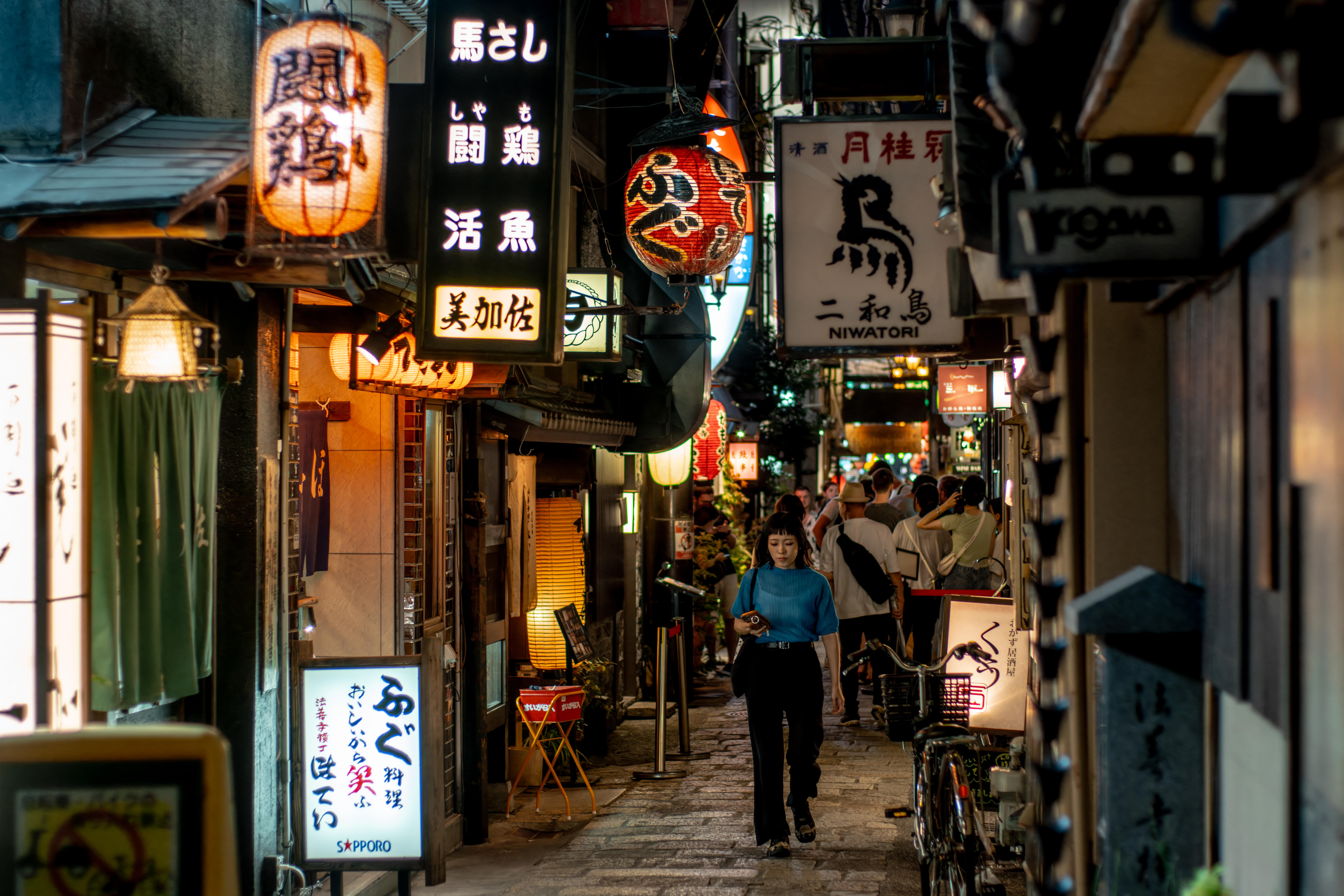 Hozenji Yokocho