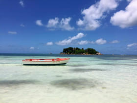 8fk81mv1y0jjmx0cixdzukbhe7ag img 2957