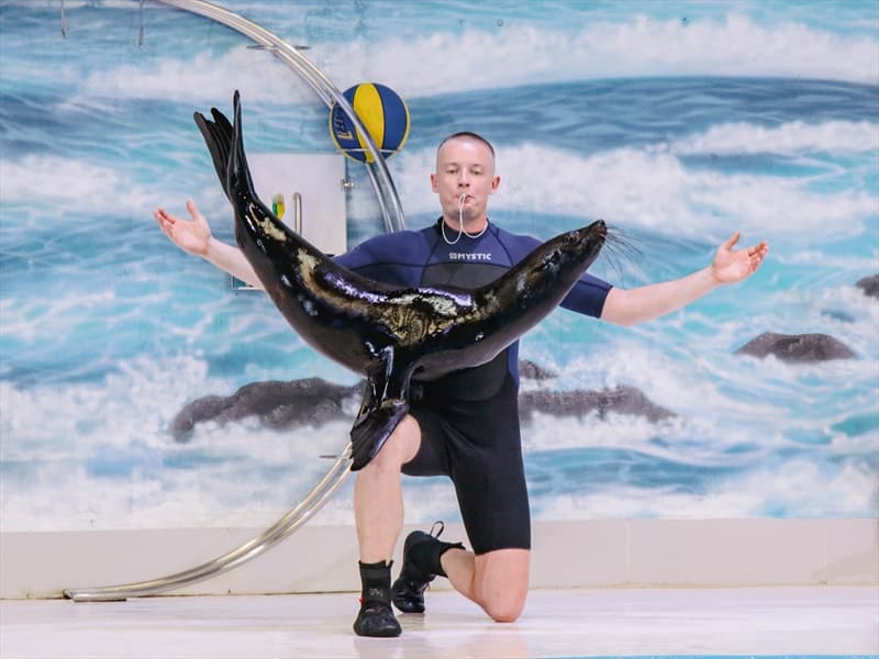 Dubai Dolphinarium Tickets Image