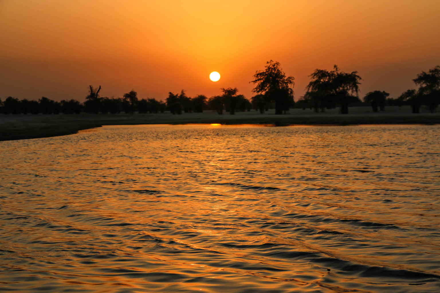 Catch the sunset over the man-made desert oasis