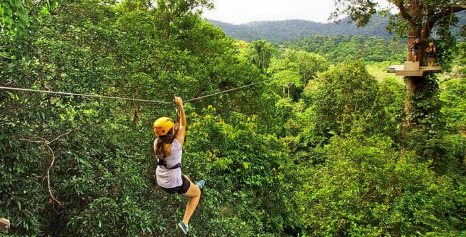 Zipline through the lush green surroundings