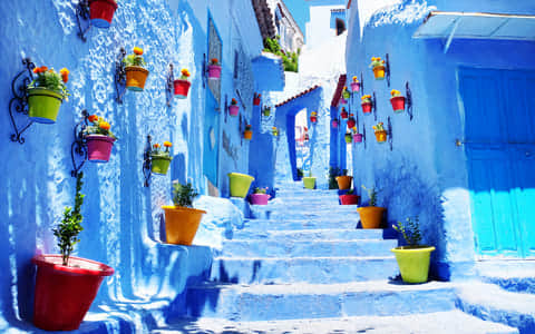 Chefchaouen Private Tours