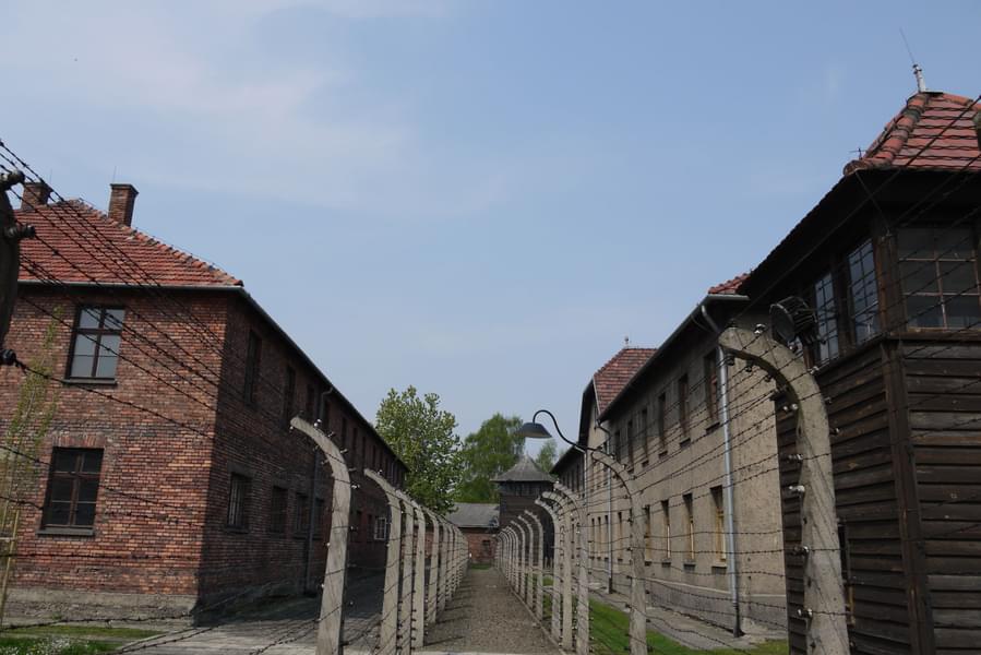 Auschwitz-Birkenau & Wieliczka Salt Mine Tour From Krakow