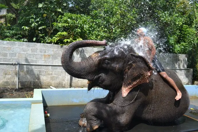Enjoy Interactive Bathing Sessions