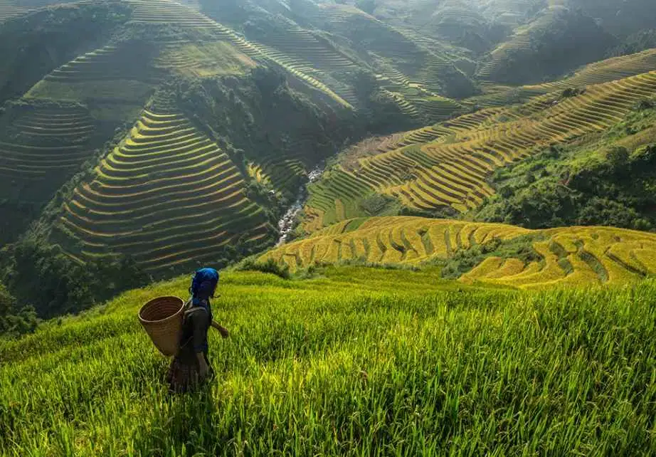 6 Days Majestic Nagaland Private Tour